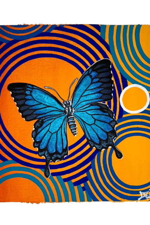 Ulysses Butterfly Art aboriginal art